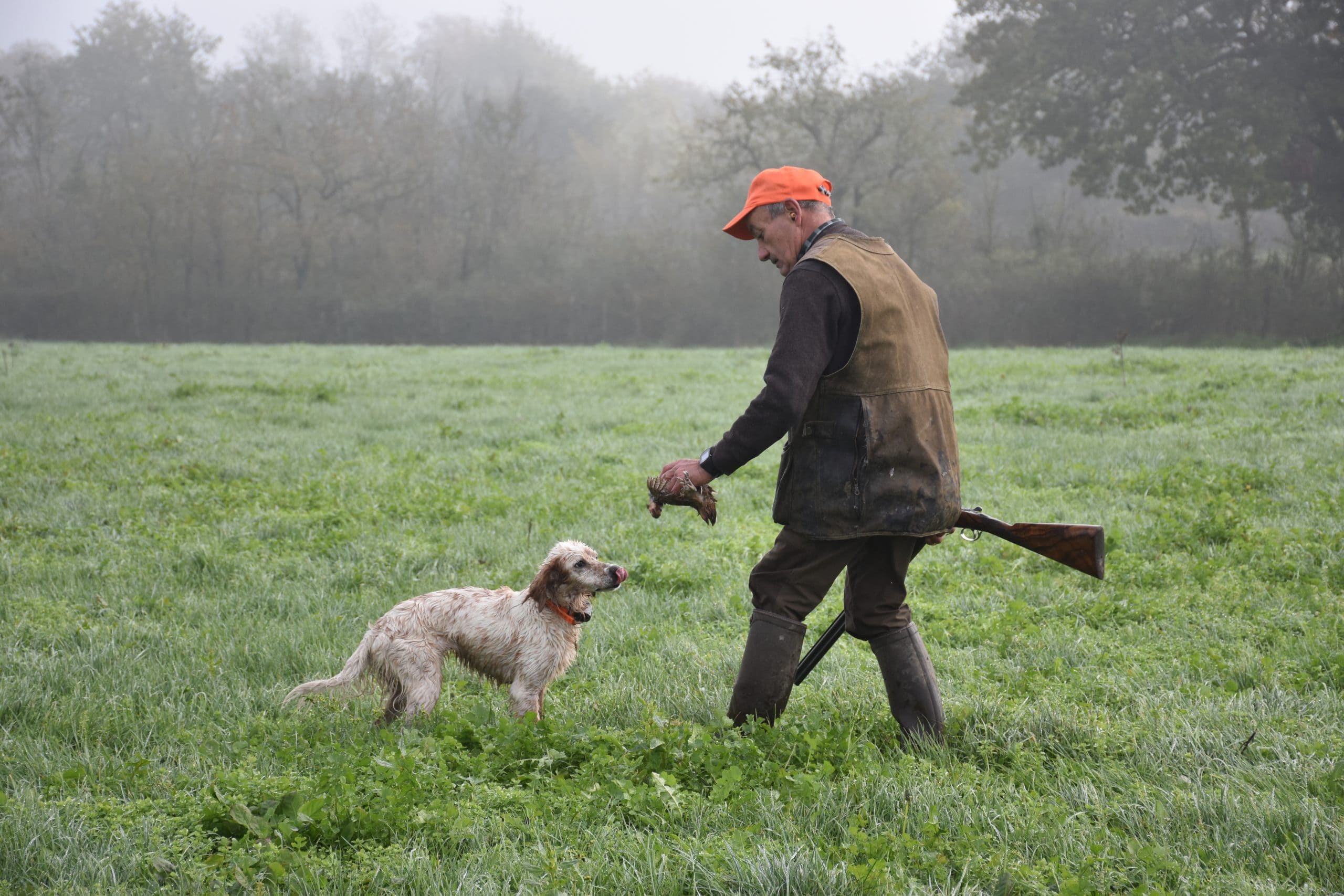 Chez Milo - La Chasse D'Antan