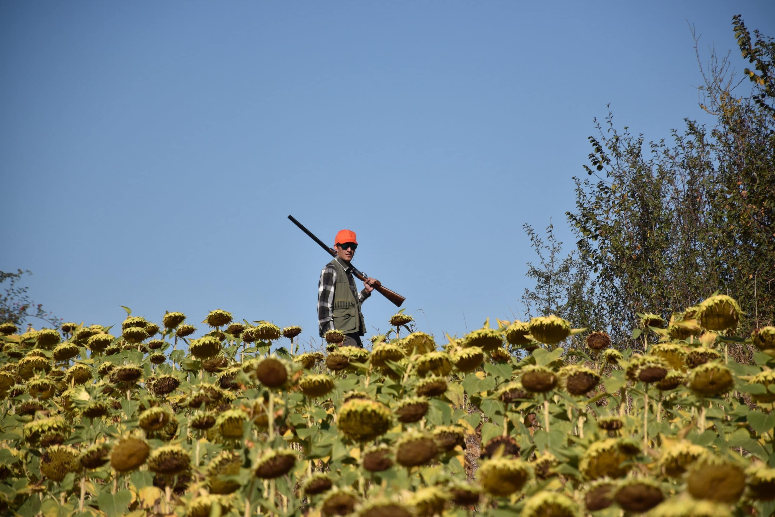 Chez Milo - La Chasse D'Antan